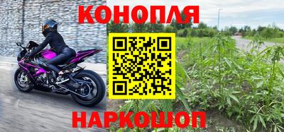 прущая мука Кингисепп